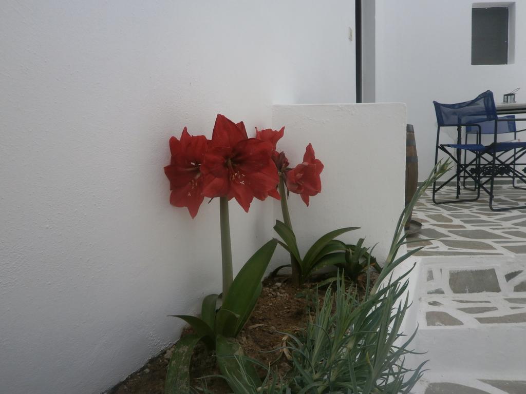 Kamári Villa Ostria מראה חיצוני תמונה