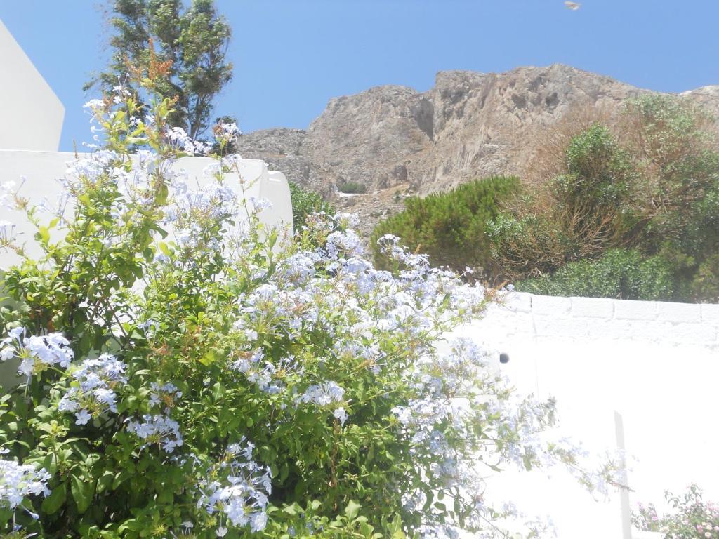 Kamári Villa Ostria מראה חיצוני תמונה